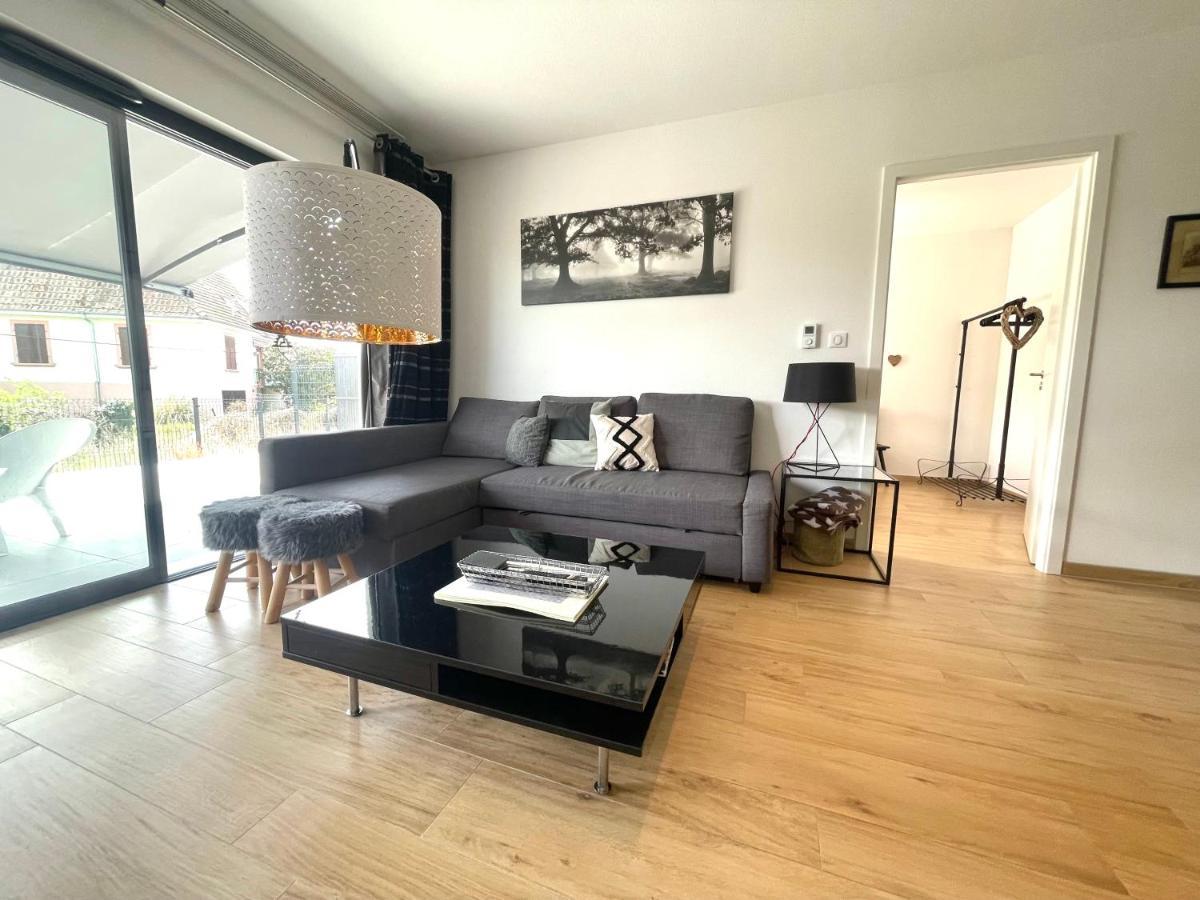 Magnifique 2 Pieces, Tout Equipe, Terrasse Privee コルマール エクステリア 写真